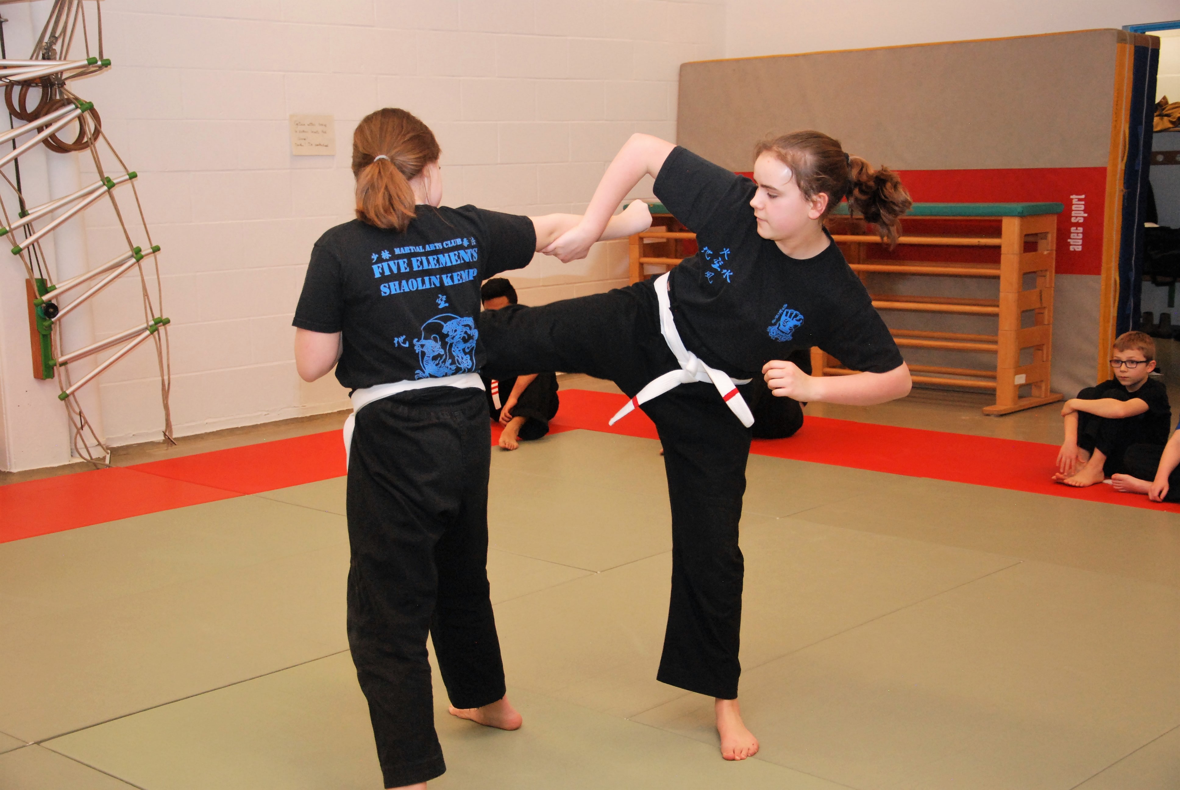 kempo 220-min.JPG