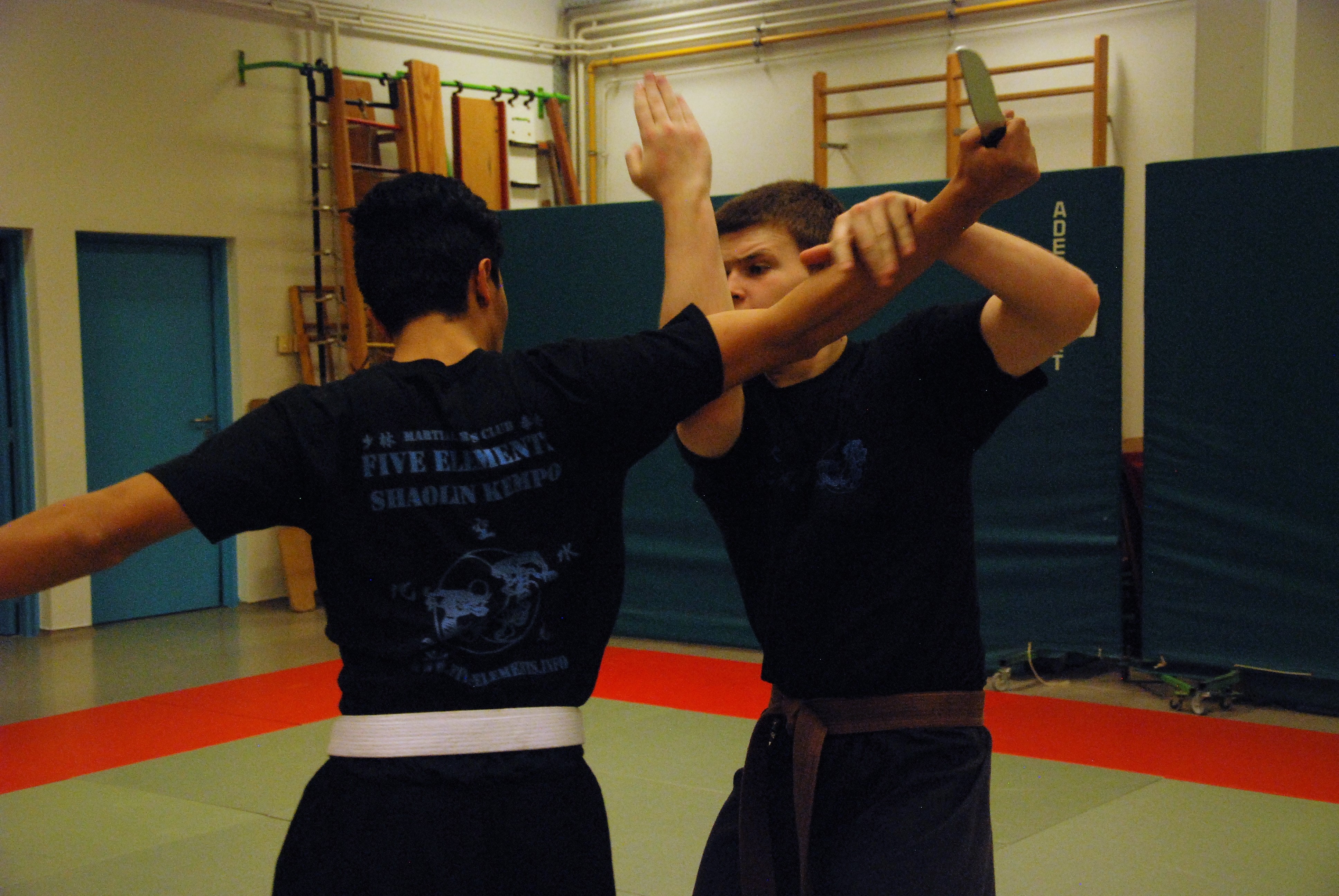 kempo 2 275-min.JPG