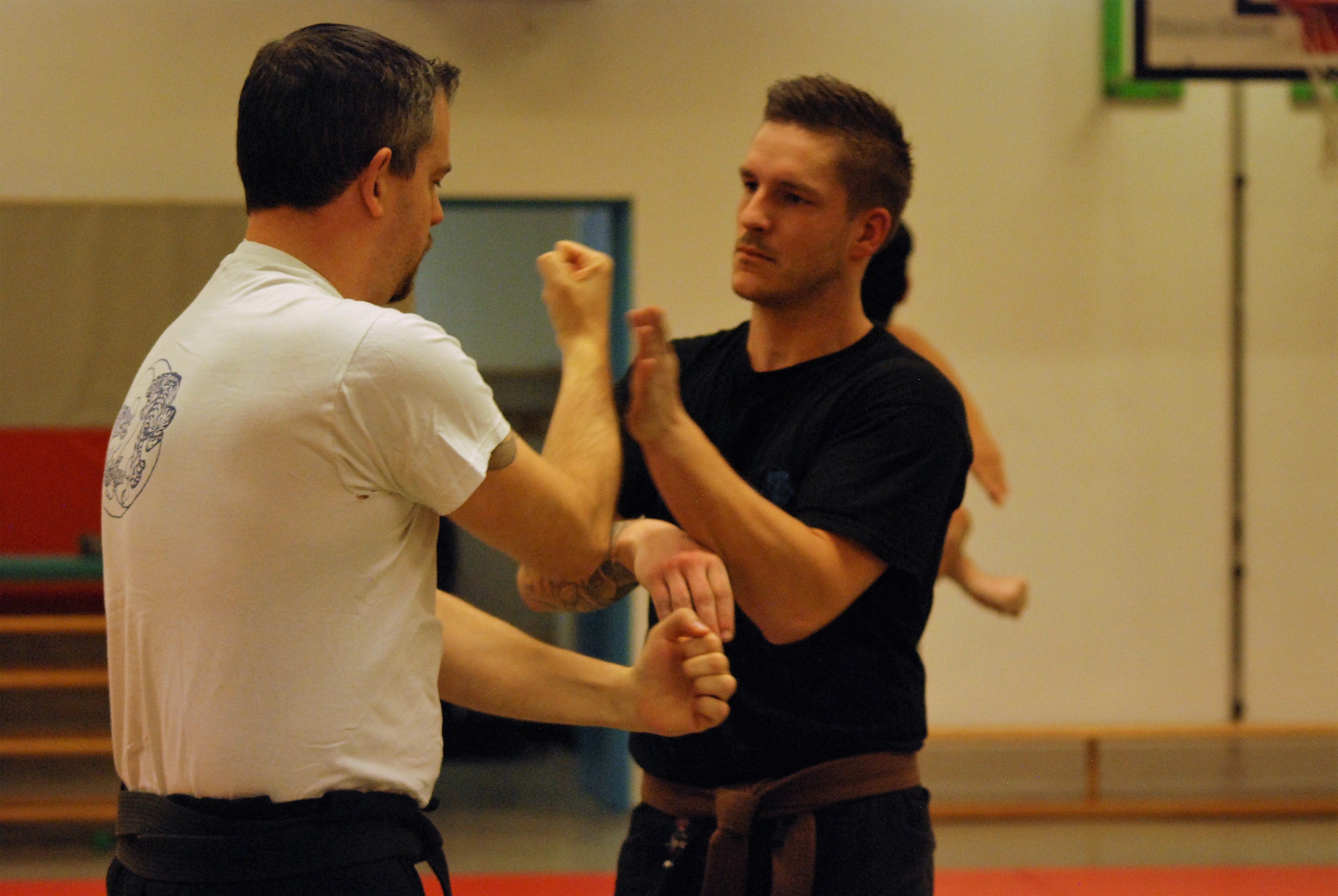 kempo 2 105-min.JPG